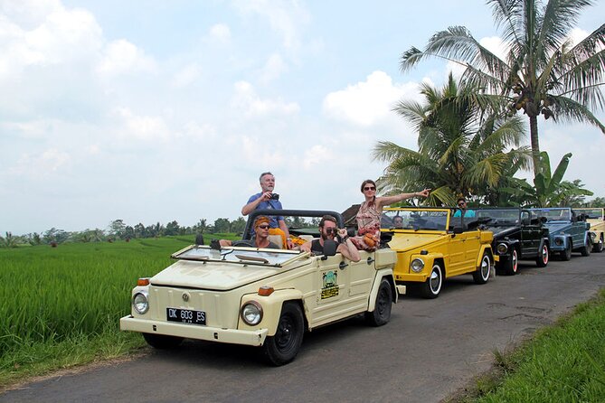 VW Safari Bali Tour: UNESCO World Heritage Sites in Bali