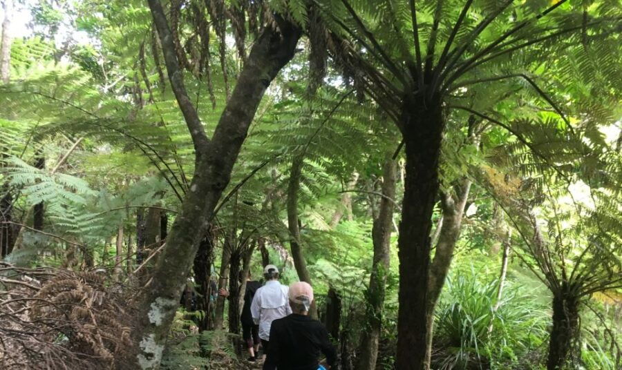 Waiheke Island: 5-Day Self-Guided Te Ara Hura Walk - Good To Know