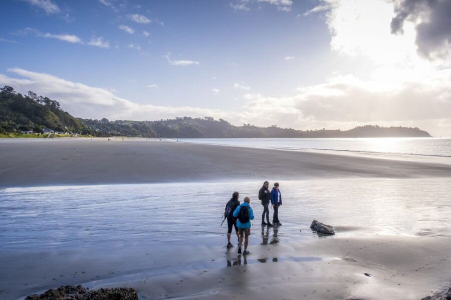 Waiheke Island: Forest and Beach Premium Guided Walk - Good To Know
