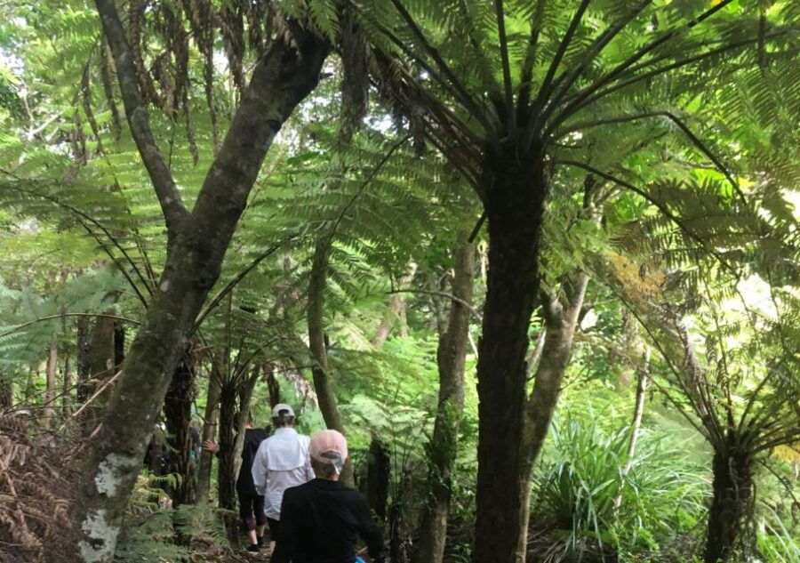 Waiheke Island: Private Guided Te Ara Hura 5-Day Walk - Good To Know
