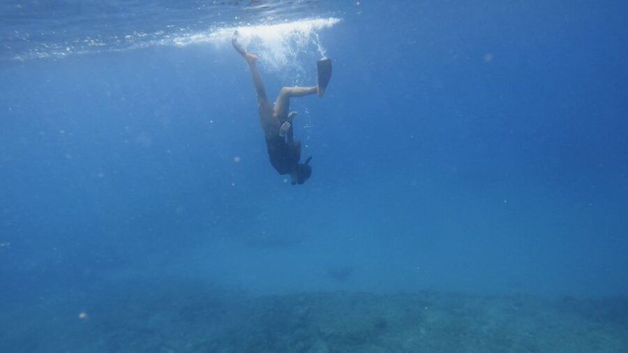 Waikiki: Honolulu Beginner Snorkeling Tour