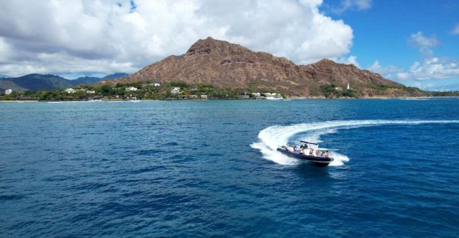 Waikiki: Ocean Rafting & Turtle Snorkel (Small-group)