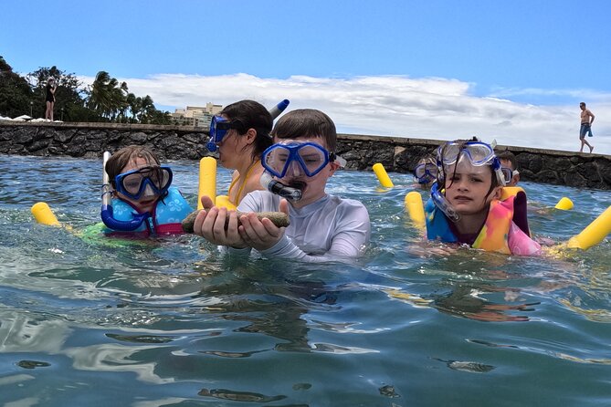 Waikiki! Very Shallow Snorkeling Fish Marinelife!Free Pics&Video!