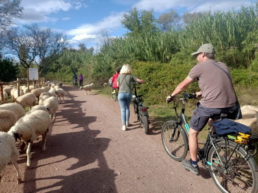 Wake up or Sunset Appian Way & Aqueducts E-Bike Tour - Good To Know