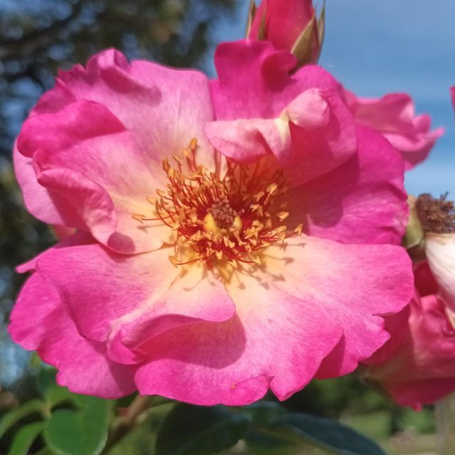 Walk: the Marsh and Its Unusual Places - Good To Know