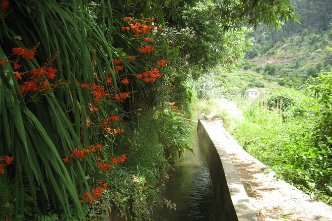 Walking Experience in the Serra DÁgua Valley