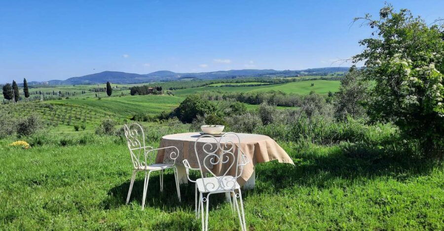 Walking in the Olive Grove: How Is Extra Virgin Olive Oil Made?