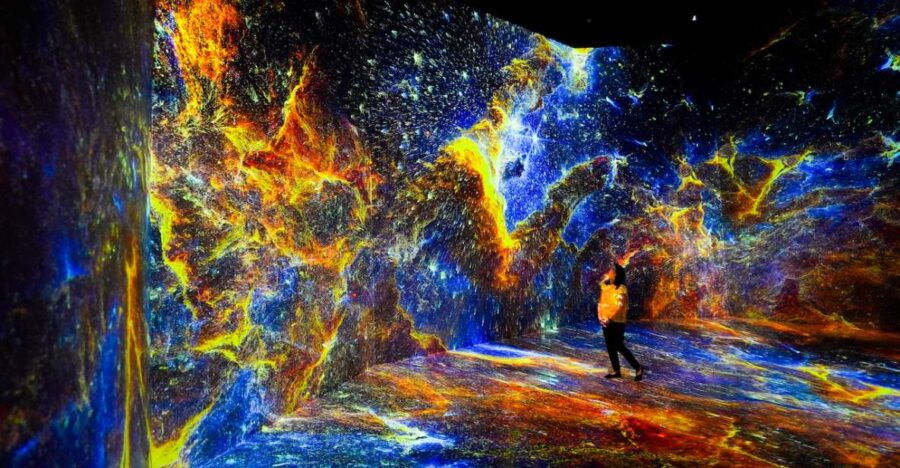 Washington, DC: ARTECHOUSE Immersive Art Experience Ticket - Ticket Details