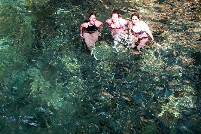 Waterfall Discovery