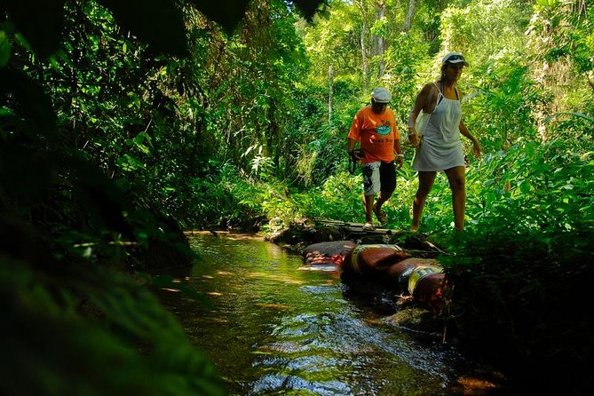 Waterfalls Jeep Tour