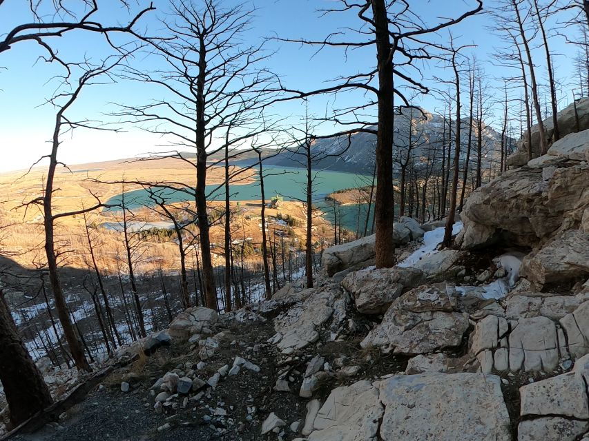 Waterton: Winter Wonderland Guided Hike With Special Gift - Good To Know