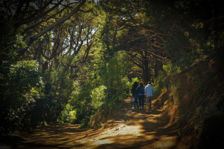 Wellington: Lord of the Rings Tour With Weta Workshop - Good To Know