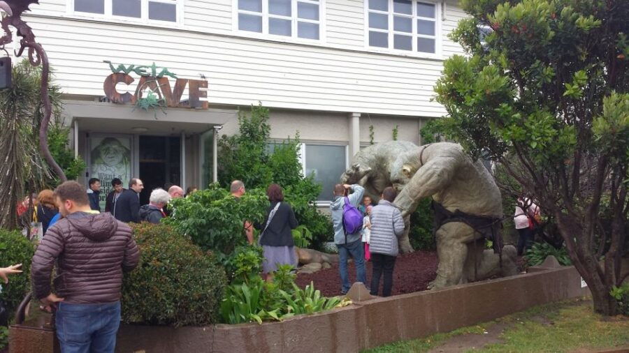 Wellington: Private Day Tour With Lunch - Good To Know