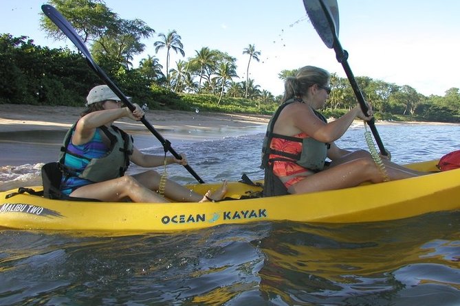 West Side Discovery Kayak & Snorkel Tour - Good To Know