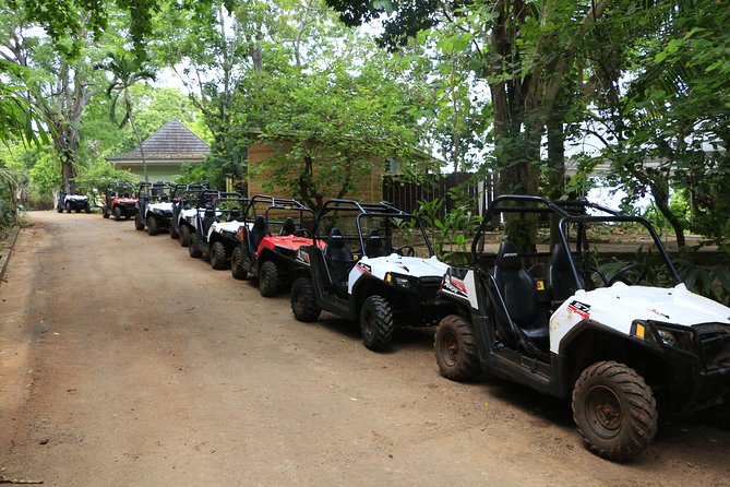 Wet N Dirty ATV Outback Adventure From Falmouth - Good To Know