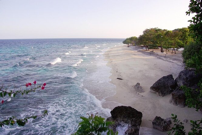 Whale Shark Encounter & Sumilon Sandbar & Canyoneering in Kawasan Falls