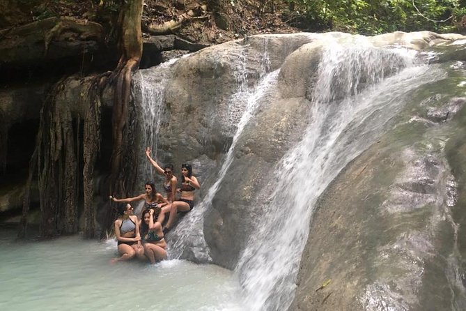 Whale Shark Swimming Experience and Aguinid Falls From Cebu