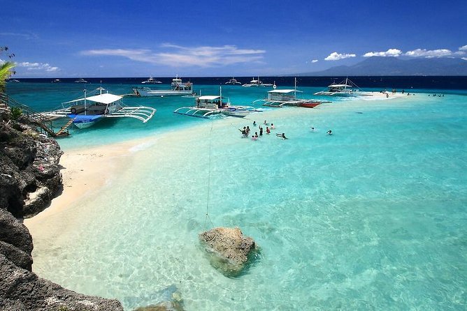 Whale Shark Watching With Canyoneering & Kawasan Falls Sumilon Sandbar