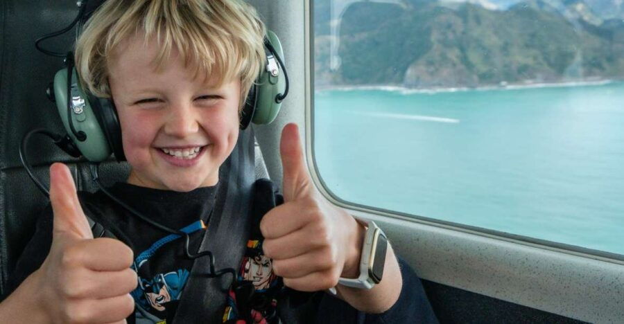 Whale Watching by Plane Family Package - Good To Know