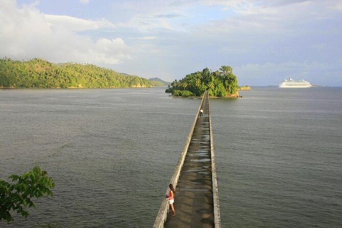 Whale Watching in Samana