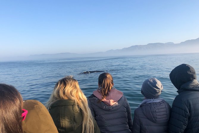 Whale Watching Tour in Hermanus With Hotel Pickup - Good To Know
