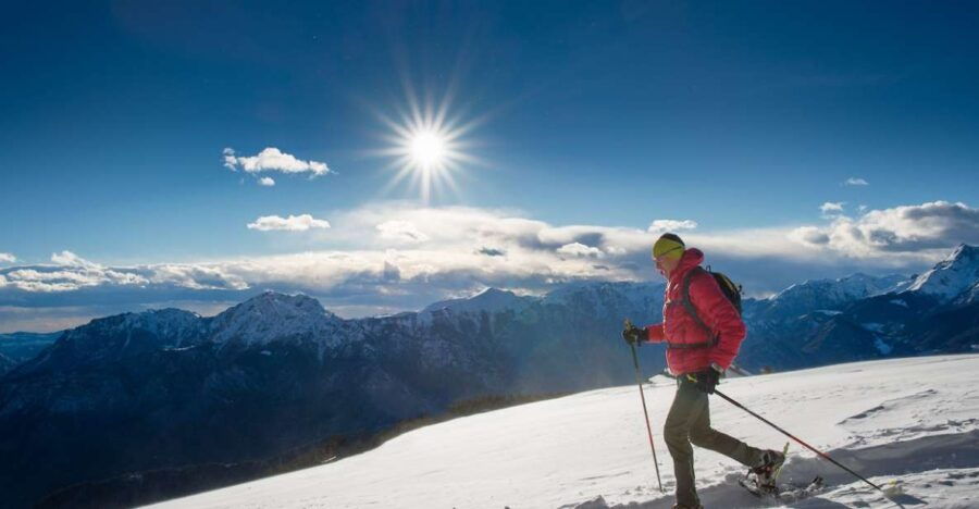 Whistler: Backcountry Snowshoeing Tour With Guide - Good To Know