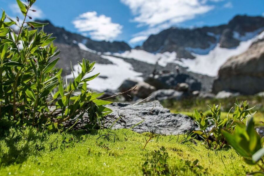 Whistler: Guided Glacier Discovery Hike - Good To Know