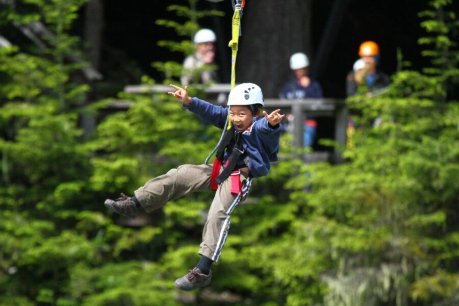 Whistler Zipline Experience: Ziptrek Bear Tour - Good To Know