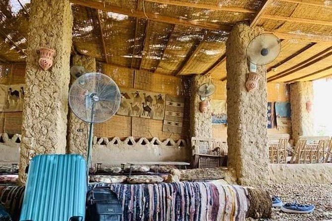 White Desert and Bahariya Oasis Tour From Cairo - Good To Know