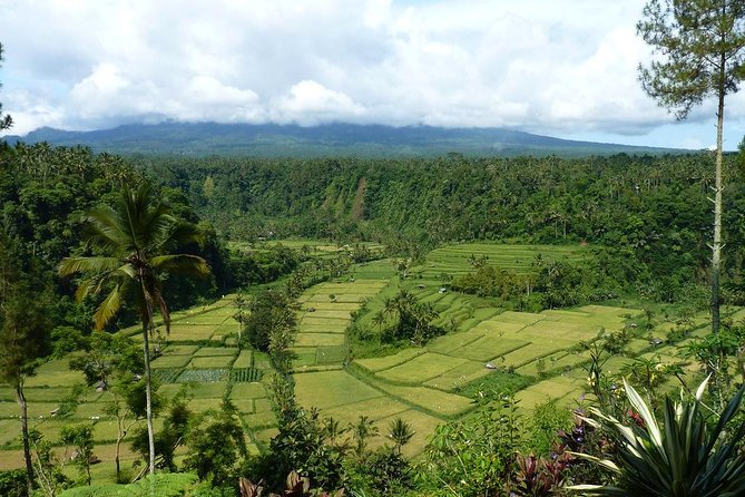 White Water Rafting Adventure at Telaga Waja River - Good To Know