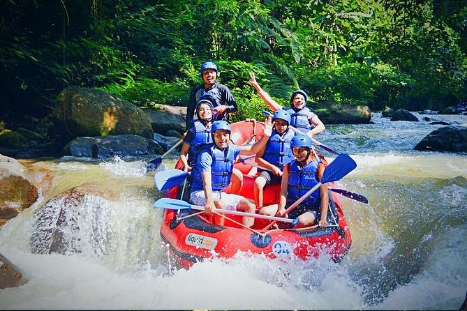 White Water Rafting - Ayung River - Experience Details
