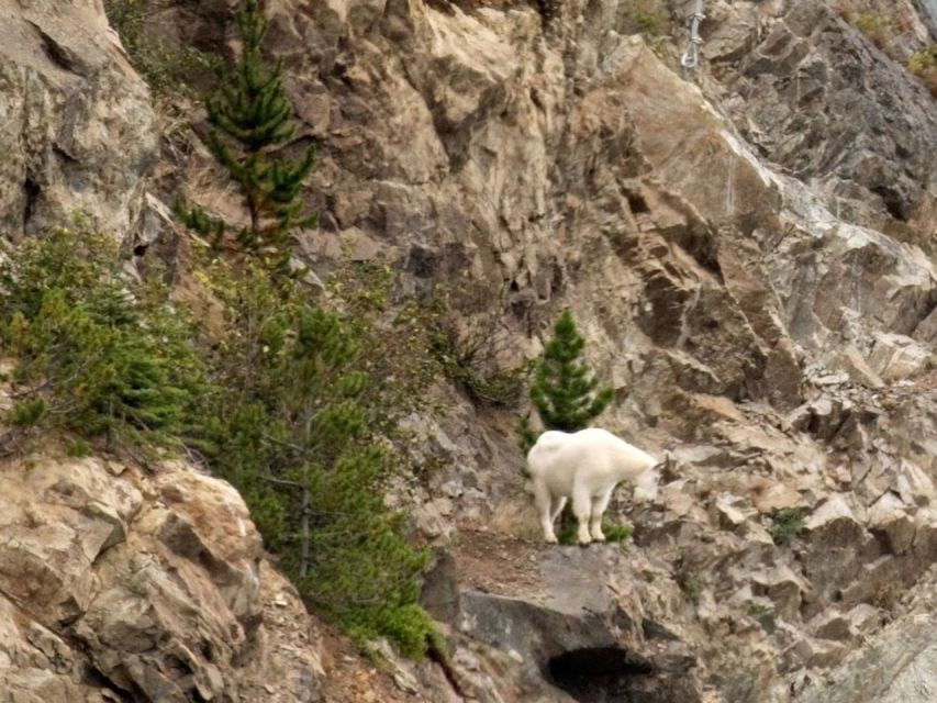 Wild Adventure Yukon Summit Tour - Good To Know