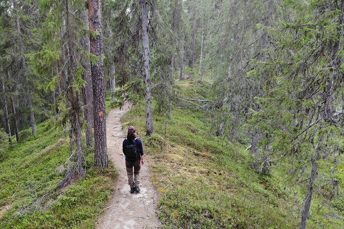 Wilderness Hike in Rovaniemi - Good To Know