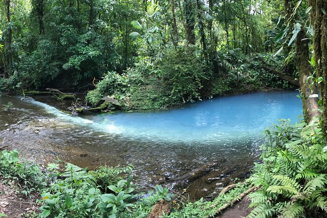 Wildlife Nature Hike, Blue Waterfall, Lunch & Sloth Trail - Tenorio Volcano Park - Good To Know