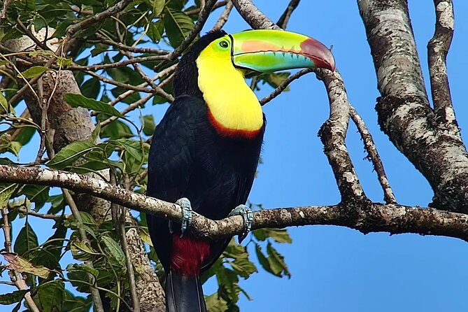 Wildlife Wonders Await at Curicancha Reserve - Good To Know