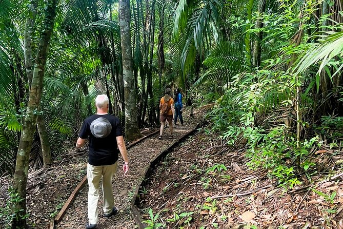 Wildlife Wonders Unveiled: Panama City Trail Tour - Good To Know