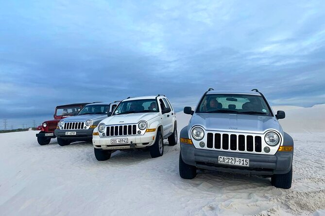 WildX Drive in 4x4 Sandboarding Atlantis White Dunes in Cape Town - Good To Know