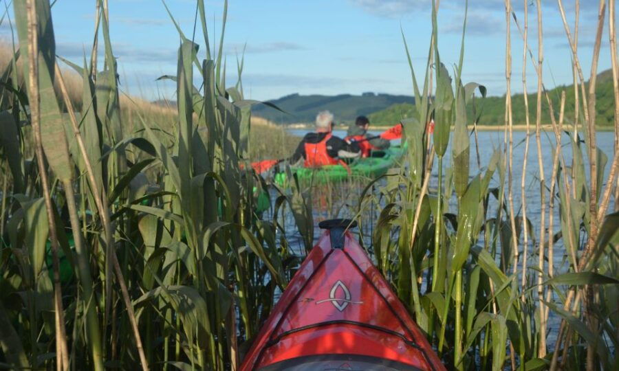Willowgate to Newburgh Kayak Tour