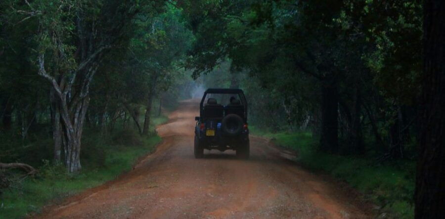 Wilpattu National Park With Safari Jeep & Entrance Ticket