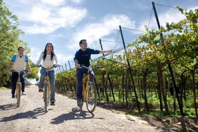 Wine and Bike Tour: Zuccardi Winery Adventure