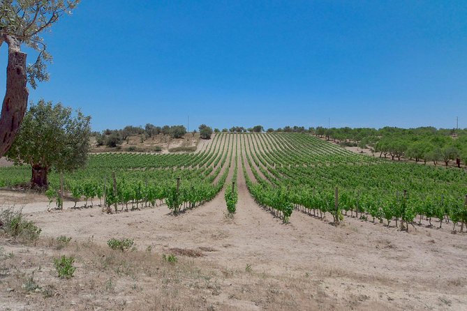 Wine and Food Baroque Day Tour – Private Experience - Tour Location and Activities