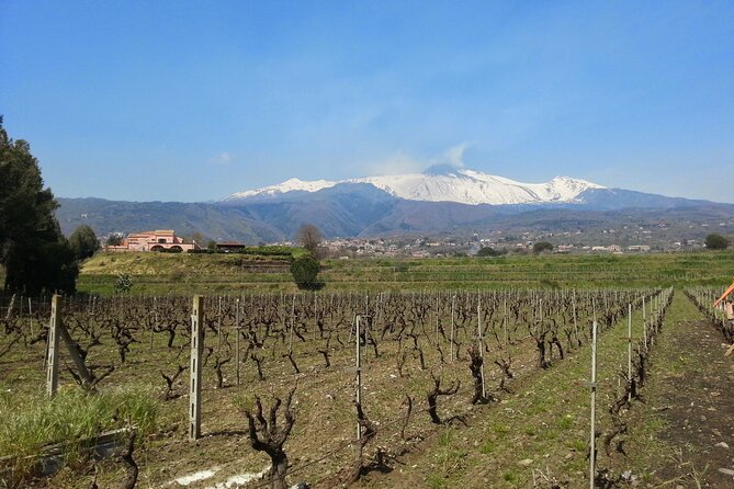 Wine and Lunch Tour - Good To Know