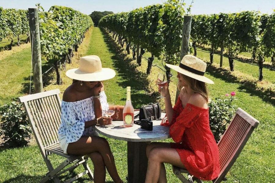 Wine and Oil Tasting With Tuscan Appetizers