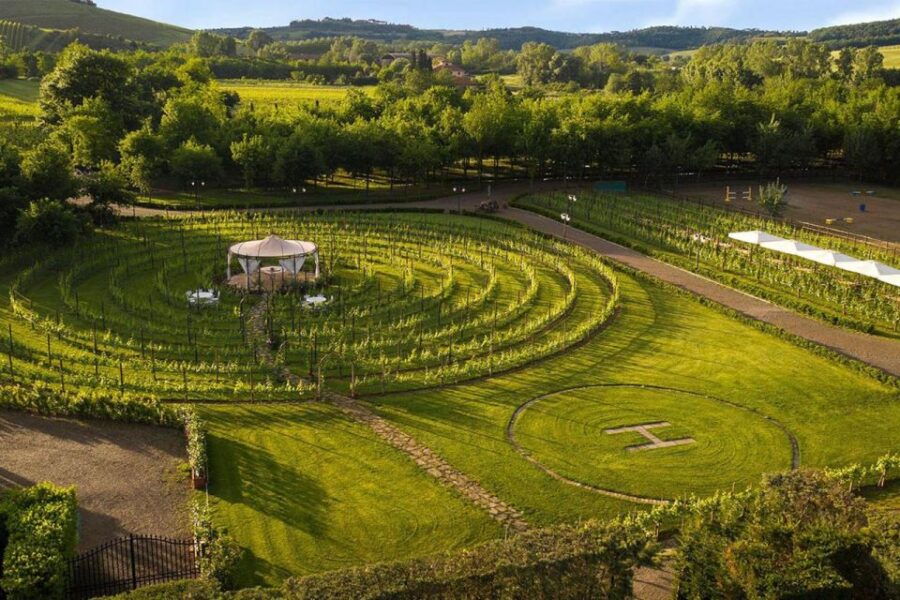 Wine and Oil Tasting With Tuscan Appetizers