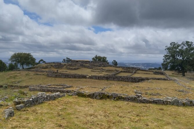 Wine and Wonders: A Tour of the Best of Vinho Verde and Douro - Vinho Verde: Exploring the Refreshing Wines