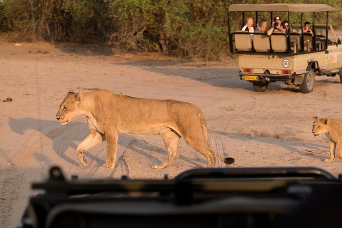 Wine & Cheese Tasting Private Tour in African Safari at Aquila