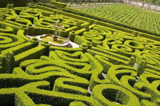 Wine Experience in Bacalhoa - Good To Know