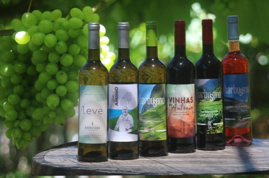 Wine Taste & Tapas, Cabo Girão Skywalk, 4×4 Jeep Adventure