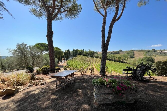 Wine Tasting and History Guided Day Tour in Chianti