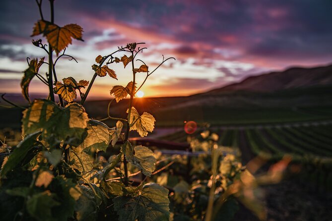 Wine Tasting Audio Tour - Calaveras County - Good To Know